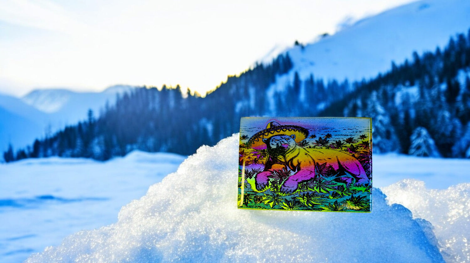 Polar Bear in Sombrero Medallion - MB209