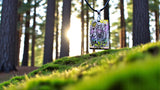 Wolf in Forest - D1021